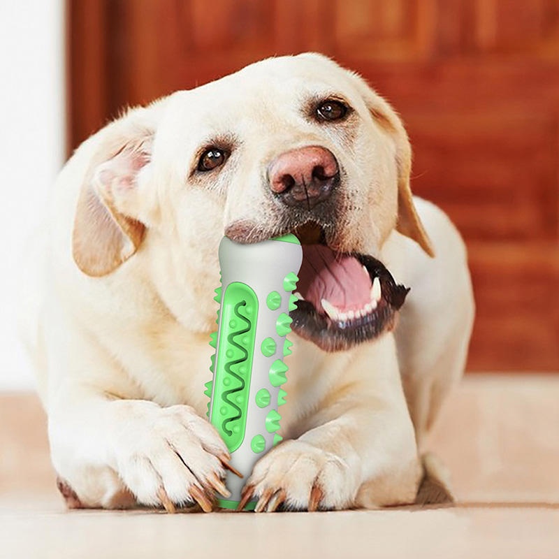 لعبة مضغ للكلاب من مادة TPR مت - مراجعة Teeth Cleaning Dog Chew Bone وسعره
