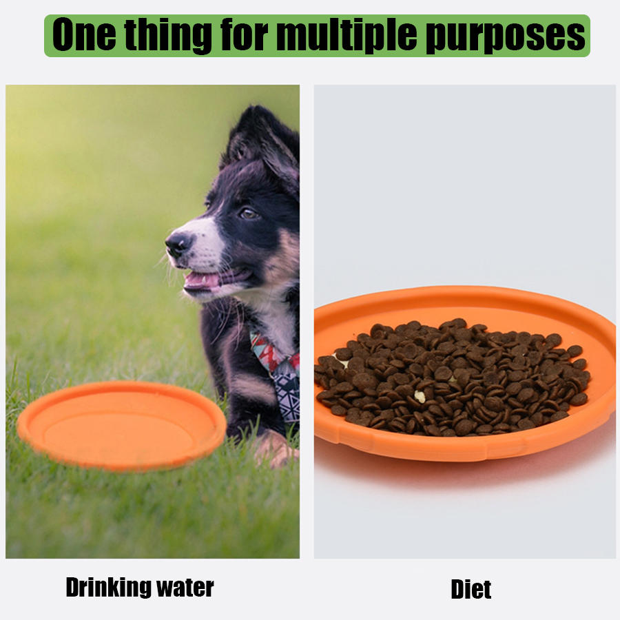 لعبة طبق طائر للكلاب الكبيرة ذ - مراجعة Flying Disc Dog Training Toy وسعره
