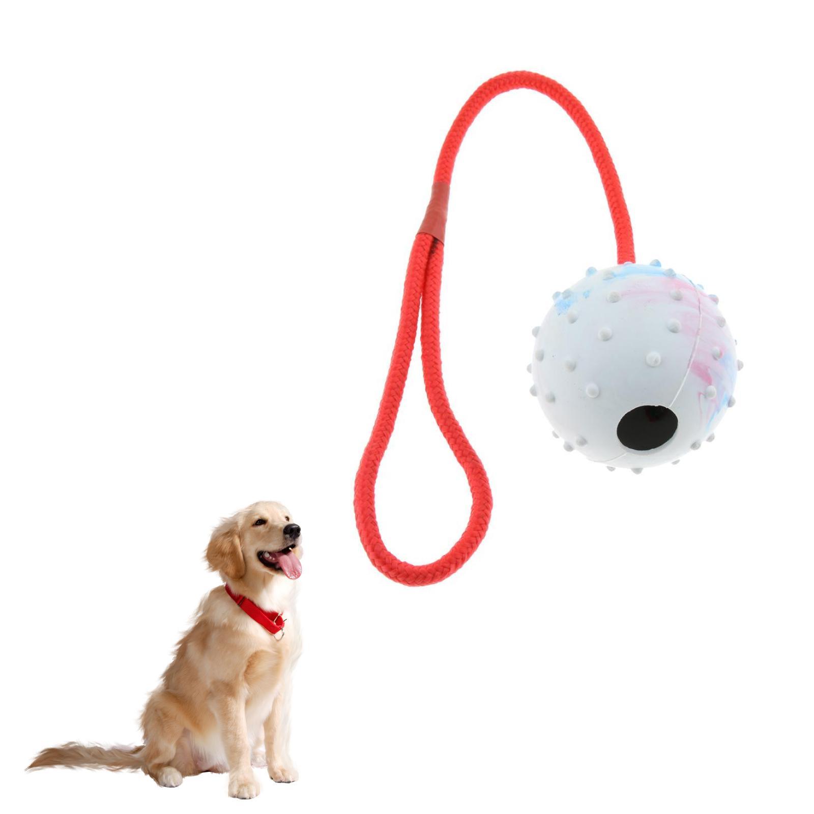 لعبة تدريب الحيوانات الأليفة،  - مراجعة Rubber Treat Dispensing Dog Toy وسعره