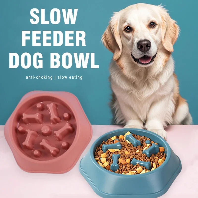 وعاء طعام للكلاب بطيء التناول  - مراجعة Dog Puzzle Feeder Toy وسعره