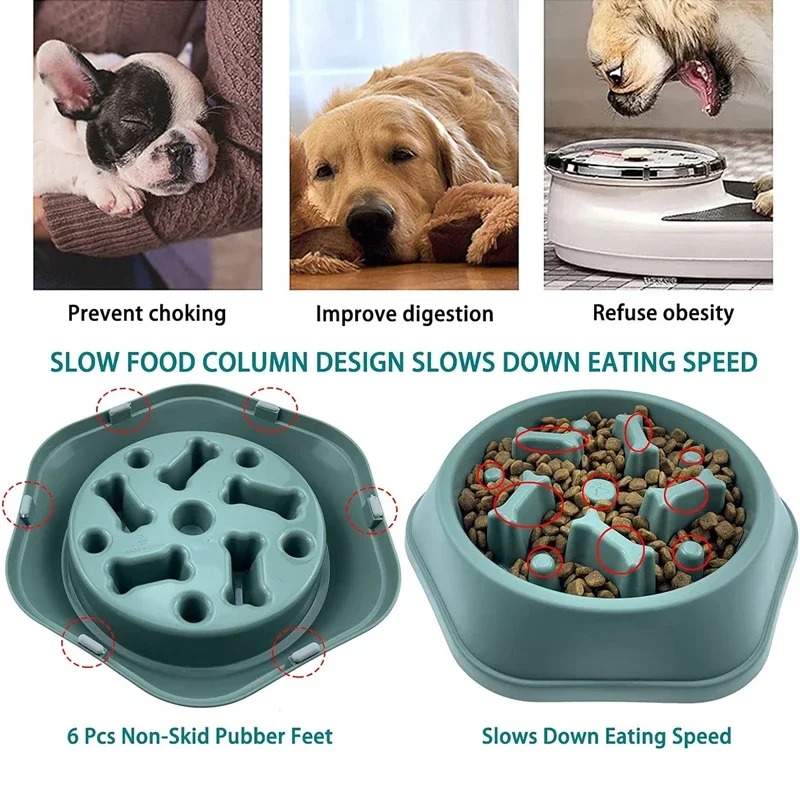 وعاء طعام للكلاب بطيء التناول  - مراجعة Dog Puzzle Feeder Toy وسعره